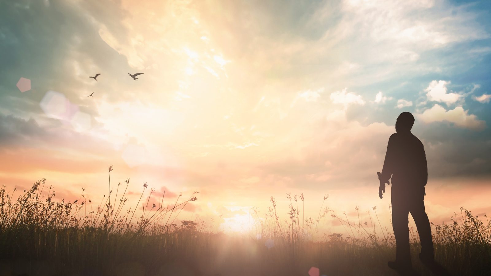 Man kijkt naar de zonsopgang in een veld, beeld bij Hoe kan ik dichter bij God komen